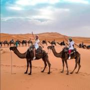 Black Stars Luxury Camp Black Stars Luxury Camp