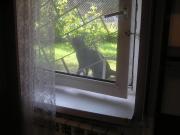 Top Kraków Top Kraków