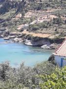 Top Koroni