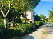 Top Alberese Top Alberese