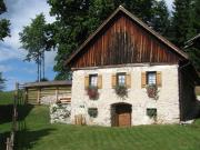 SLO-ETNO HOUSE GOSTECE-Vintage Apartma