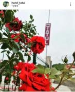 Hotel Tatul