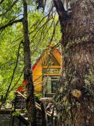 Casa del Árbol - Malalcahuello