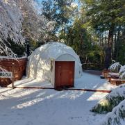 Top Manzanar Top Manzanar