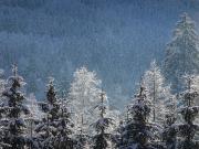 Top Chamonix-Mont-Blanc