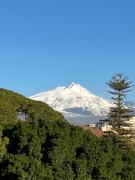 Top Catania