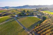 Top Montepulciano