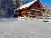 Chalet calme à Abondance, 4 chambres, cheminée - FR-1-692-21