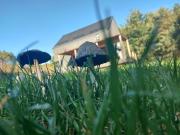 Top Krzynia Top Krzynia