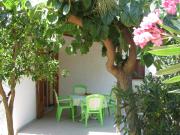 Top Kakóvatos Top Kakóvatos