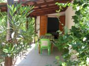 Top Kakóvatos Top Kakóvatos