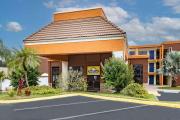 Top Orlando