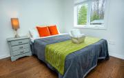 Top Haliburton