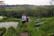 Top Ubud Top Ubud