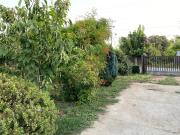 Top Linares Top Linares