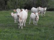 Top Saint-Paul-de-Vézelin