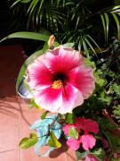 Top San Juan del Sur