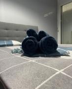 Top SÃvas Top SÃvas