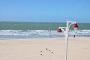 Top Cádiz