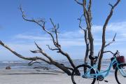 Top Fripp Island