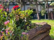 Top Bicske Top Bicske