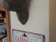 Top Modane