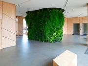 Top Wrocław Top Wrocław