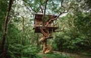Treeful Treehouse Sustainable Resort