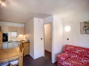 Appartement ski aux pieds, 2 pièces, animaux admis - FR-1-178-71