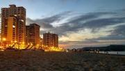 Top Salinas