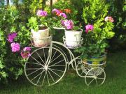 Top St. St. Constantine and Helena