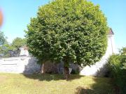 Top Châtillon-en-Bazois