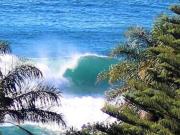 Top Mollymook
