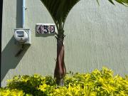 Top San Pedro Tesistán