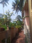 Top Alleppey