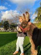 Top Saint Gatien des Bois Top Saint Gatien des Bois