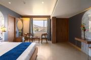 Top Udaipur