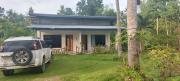 Top Anda