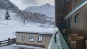Top Mandarfen