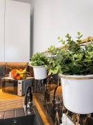 Top Kraków Top Kraków