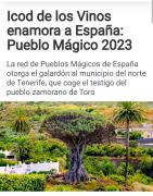 Top Icod de los Vinos