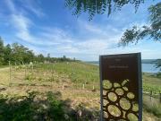 Ferienwohnung "Seeperle" Marina Mücheln Geiseltalsee