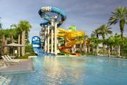 Top Orlando