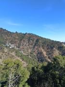 Top Kasauli