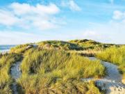 Top Hvide Sande