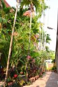 Top Siem Reap