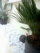 Top Vendargues Top Vendargues