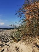 Top Warnowo Top Warnowo