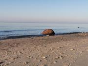 Top Warnowo Top Warnowo