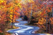 Top Eureka Springs